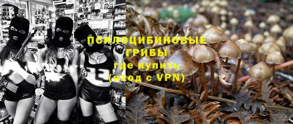 ALPHA-PVP Богородицк