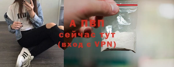 spice Богородск