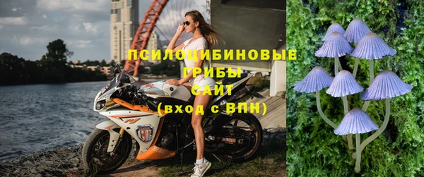 марки lsd Богданович