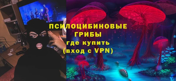 марки lsd Богданович