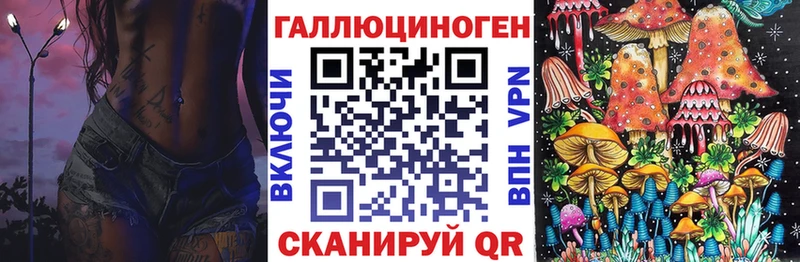 где продают   kraken онион  Псилоцибиновые грибы Magic Shrooms  Видное 